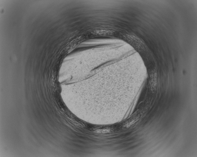 X0000062130653200601060858