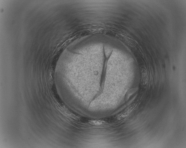 X0000062130654200601060859