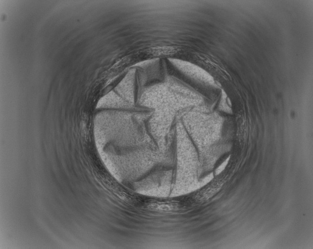 X0000062130655200601060859