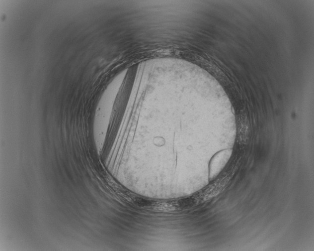 X0000062130656200601060859