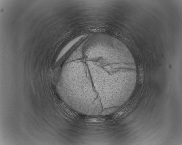 X0000062130657200601060859