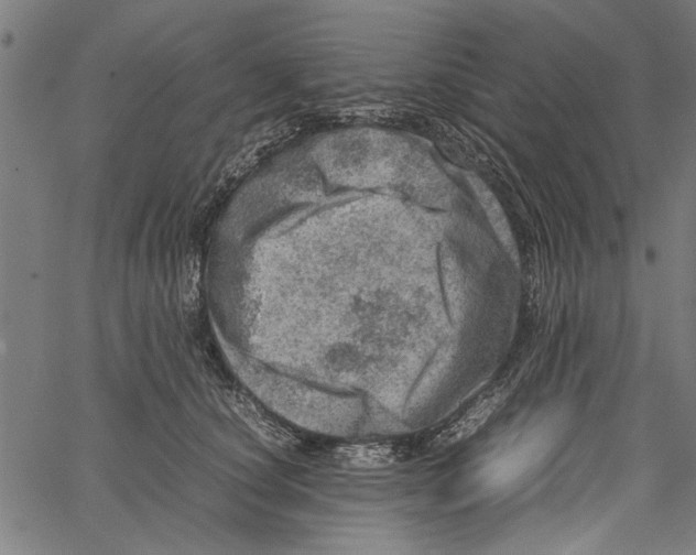 X0000062130660200601060859