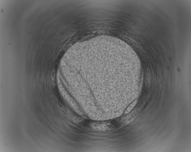 X0000062130661200601060859