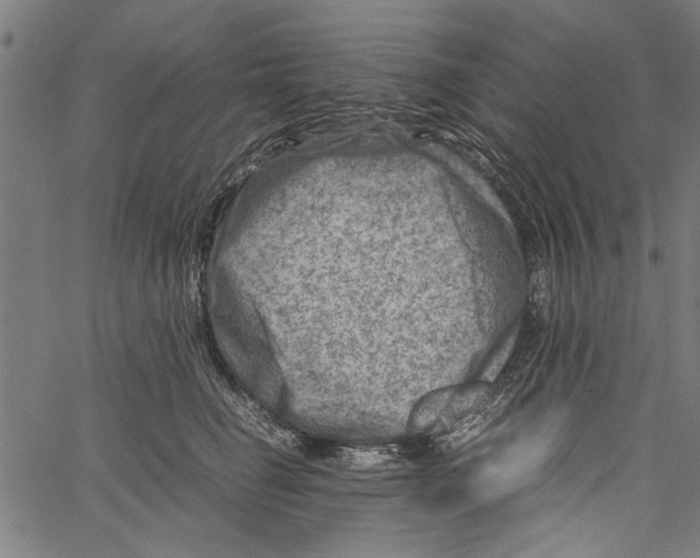 X0000062130662200601060859