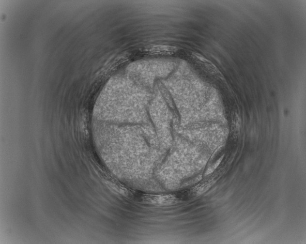 X0000062130663200601060859