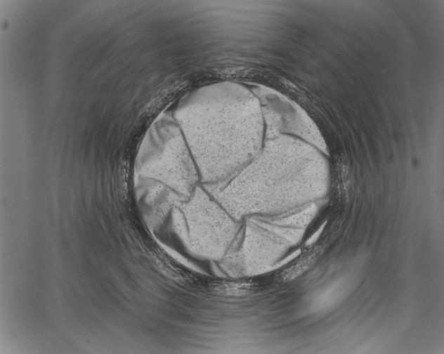 X0000062130664200601060859