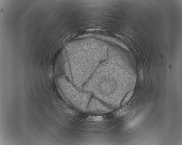 X0000062130665200601060859