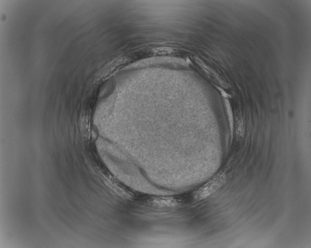 X0000062130666200601060859