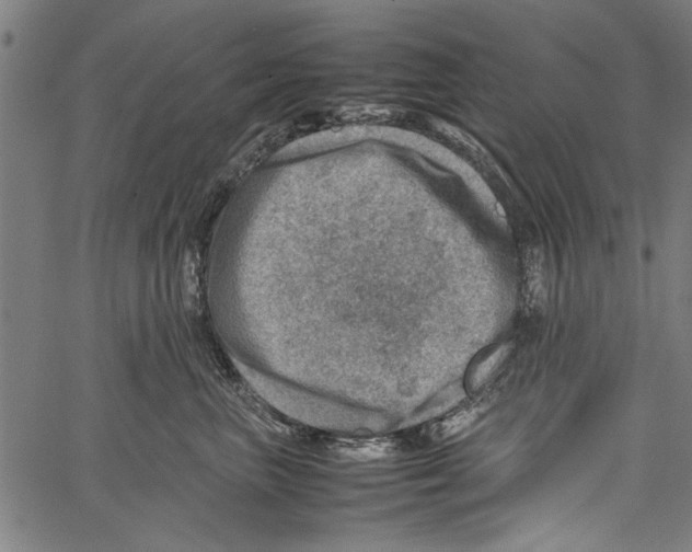 X0000062130667200601060859