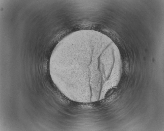 X0000062130668200601060859