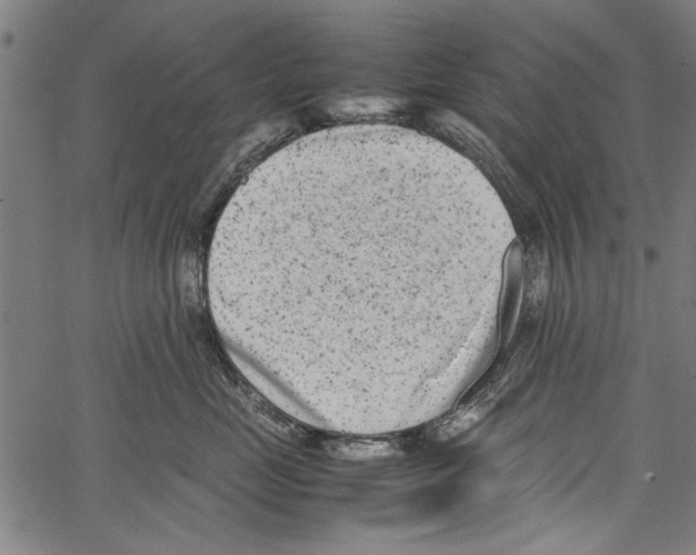 X0000062130669200601060859