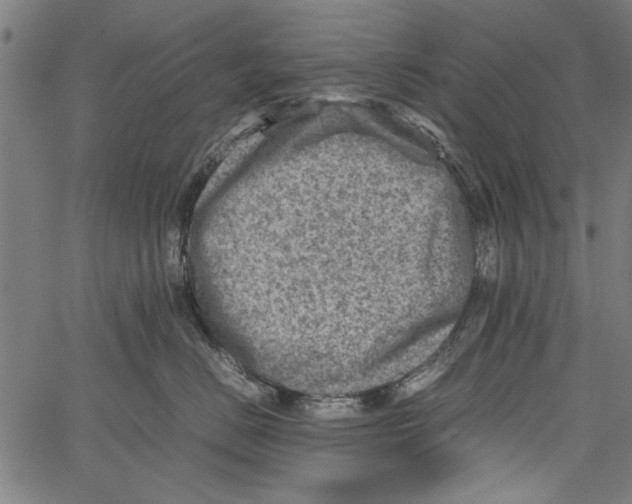 X0000062130670200601060859