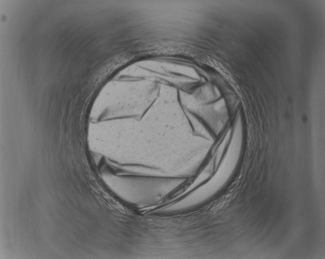 X0000062130673200601060858