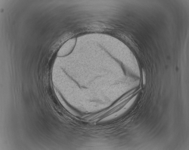 X0000062130675200601060858