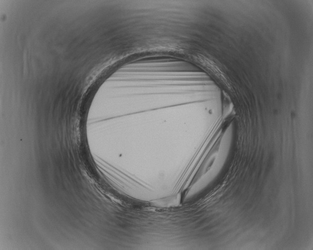 X0000062130676200601060858