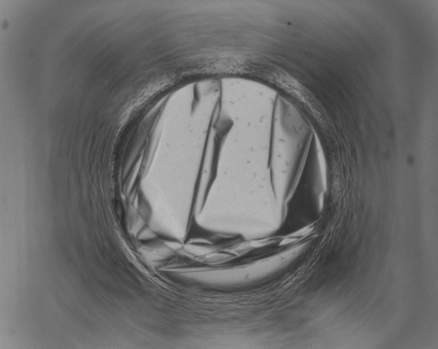 X0000062130677200601060858