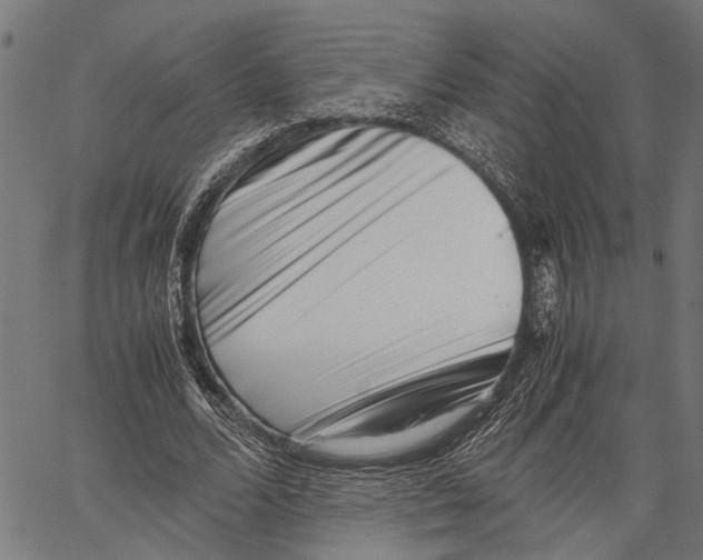 X0000062130680200601060858