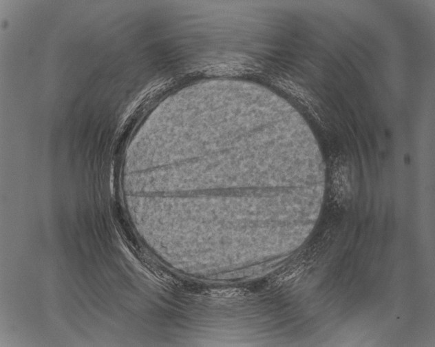 X0000062130686200601060858