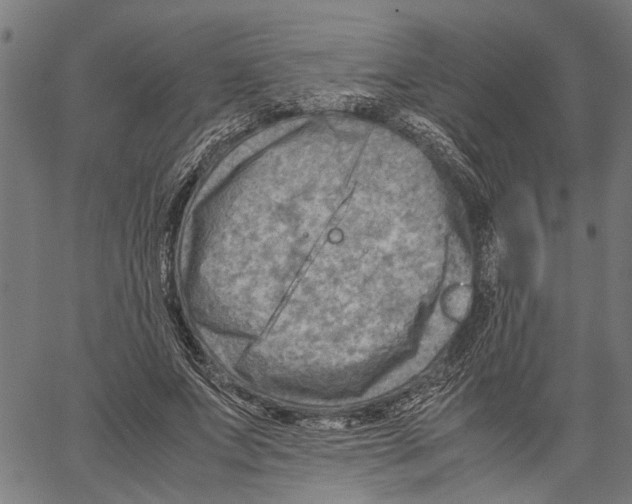 X0000062130687200601060858