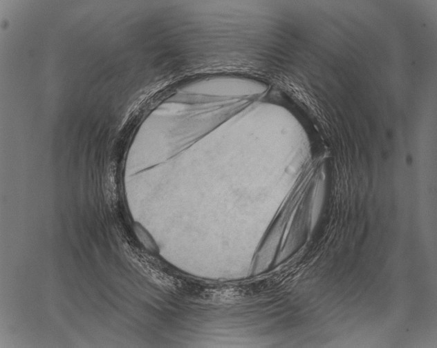 X0000062130688200601060858