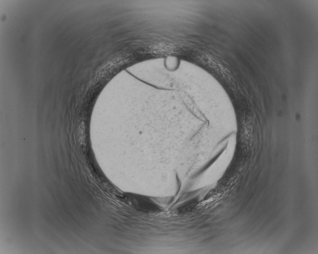 X0000062130689200601060858