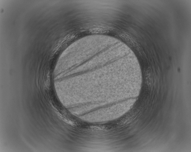 X0000062130690200601060858