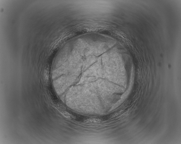 X0000062130691200601060858