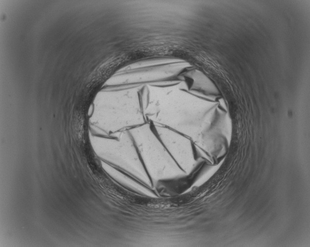 X0000062130693200601060858