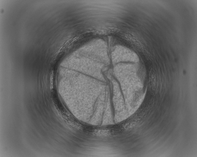 X0000062130694200601060858