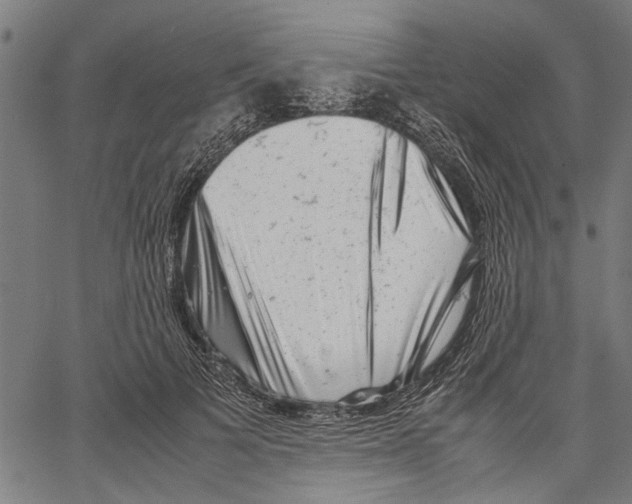 X0000062130697200601060858