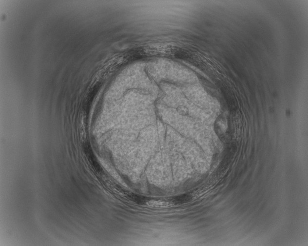 X0000062130699200601060858