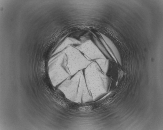 X0000062130700200601060858