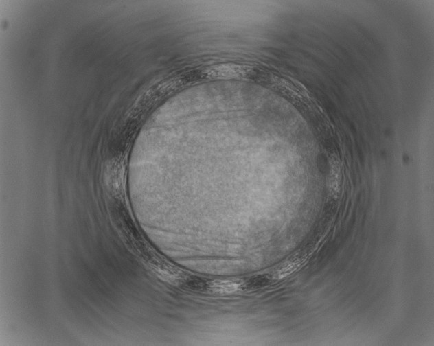 X0000062130701200601060858