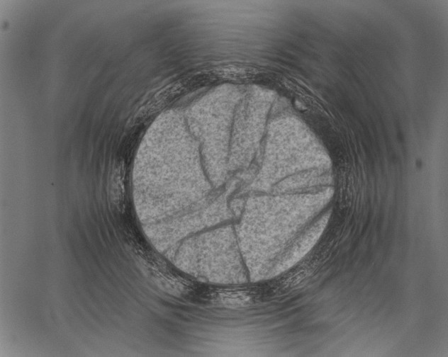 X0000062130702200601060858