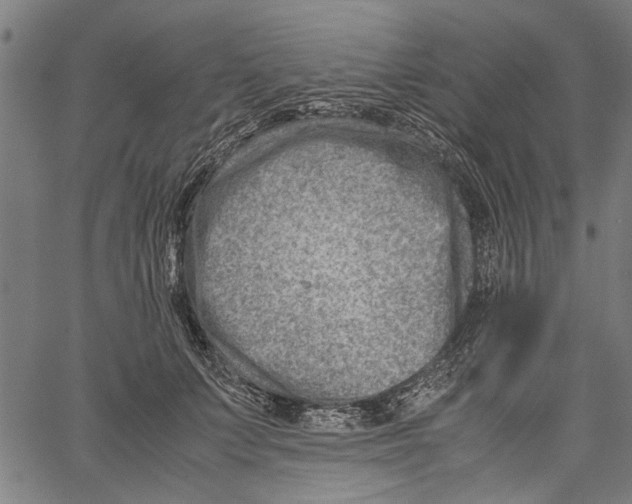 X0000062130703200601060858