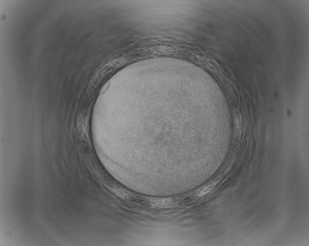 X0000062130705200601060857