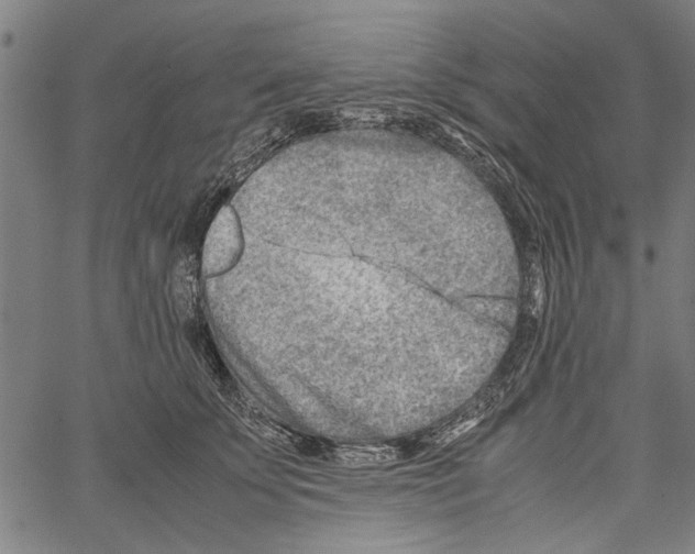 X0000062130707200601060857