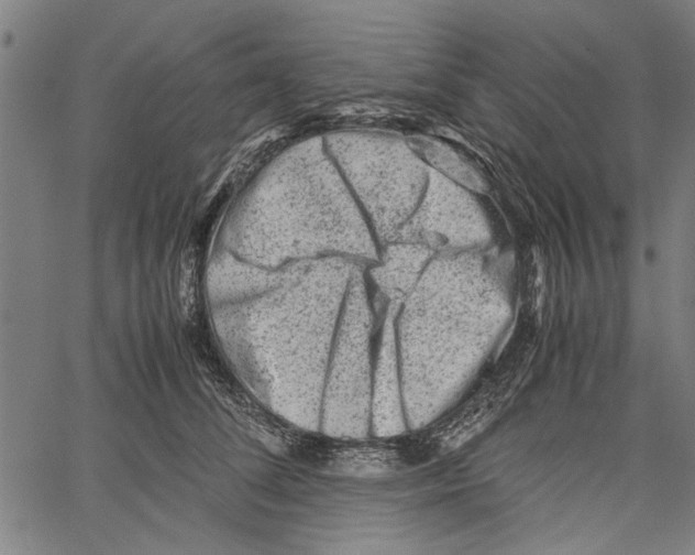 X0000062130708200601060857