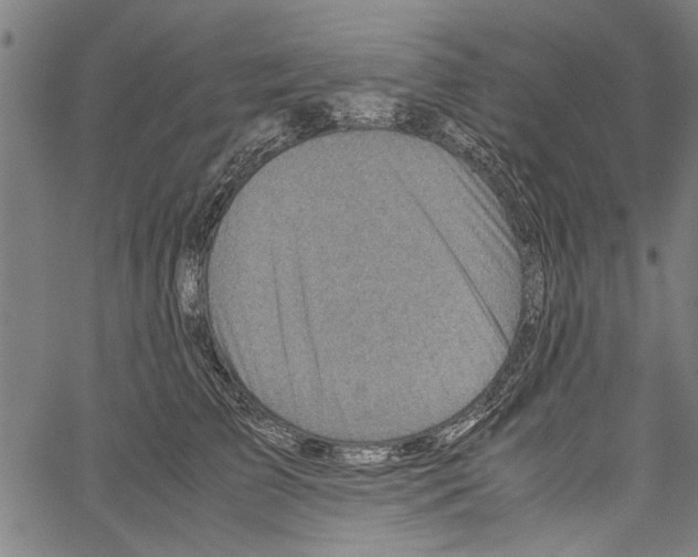 X0000062130709200601060857