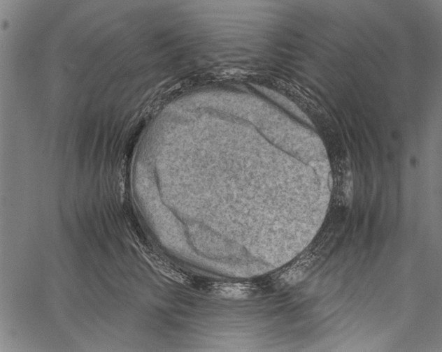 X0000062130710200601060857