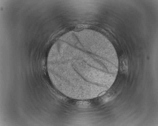 X0000062130714200601060857