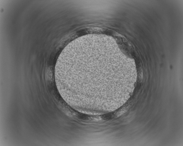 X0000062130715200601060857