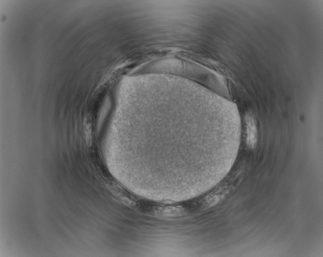 X0000062130716200601060857