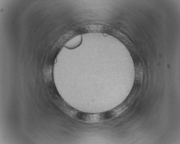 X0000062130717200601060857