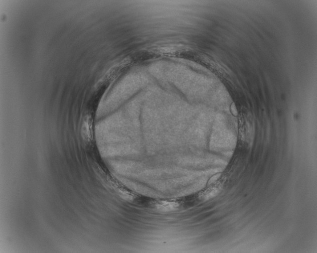 X0000062130718200601060857