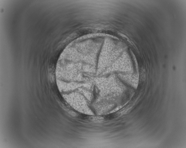 X0000062130719200601060857