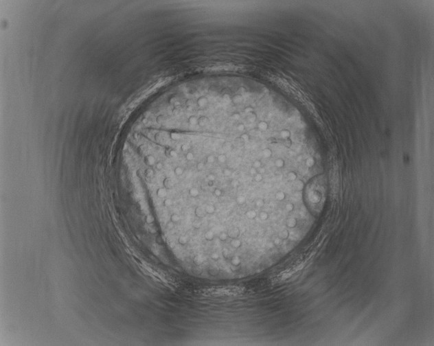 X0000062130721200601060856