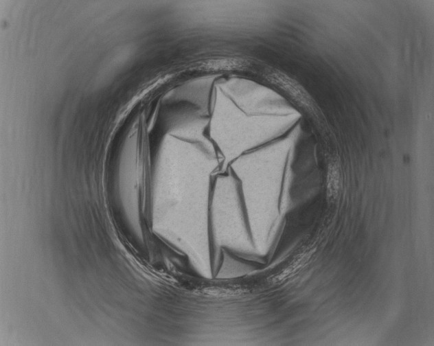 X0000062130722200601060856