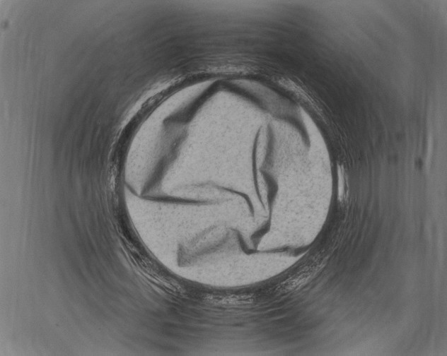 X0000062130723200601060856