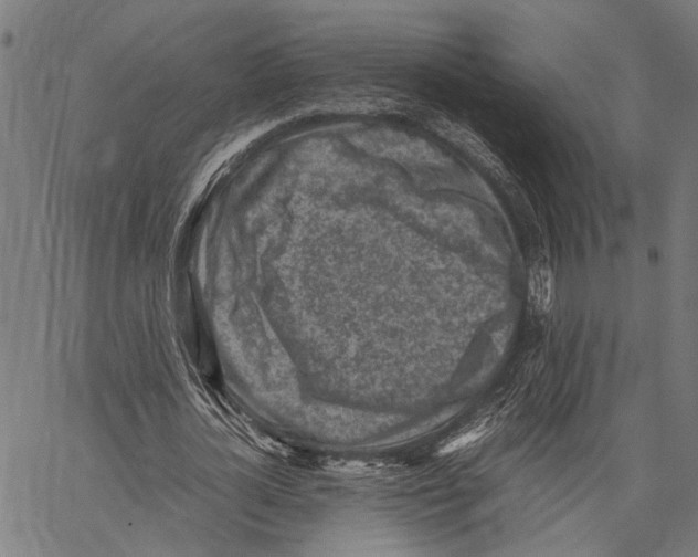 X0000062130724200601060856